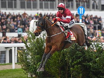 Tiger Roll harshy judged by th...